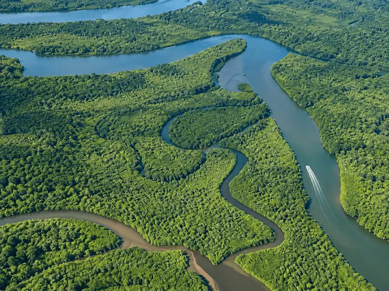 Vista aérea de una red hidrográfica dentro de un territorio tropical