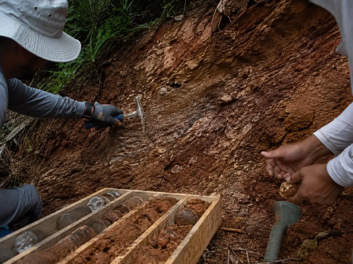 Reconocimiento geológico realizado durante trabajo de campo