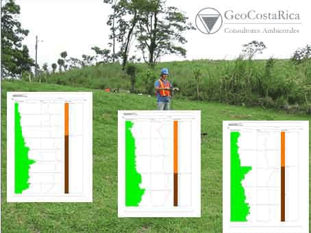 Graphical results of the DPL test